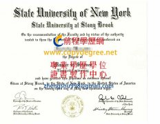 紐約州立大學石溪分校文憑範本|印製SBU文憑|購買石溪大學學歷證書